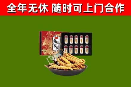 玉林市烟酒回收冬虫夏草礼盒.jpg