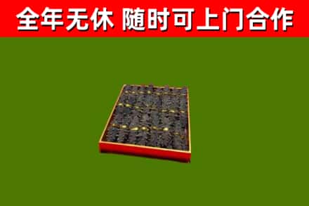 玉林市回收海参